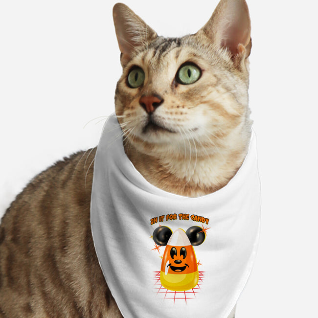 Here For The Candy-Cat-Bandana-Pet Collar-palmstreet