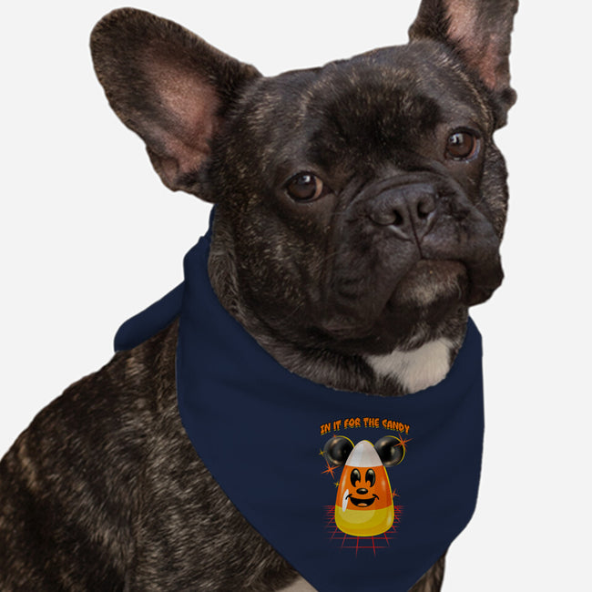 Here For The Candy-Dog-Bandana-Pet Collar-palmstreet