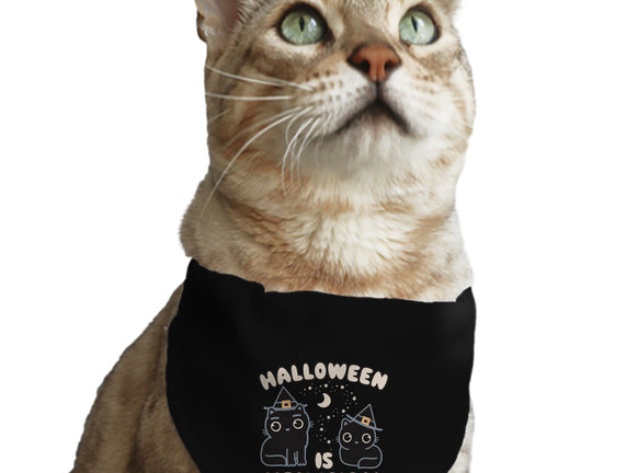 Halloween Is Meowgical