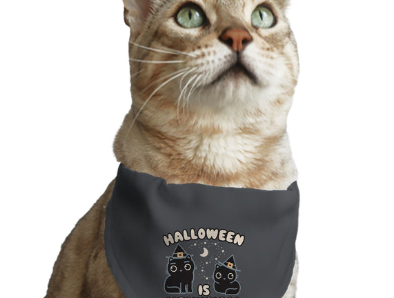 Halloween Is Meowgical