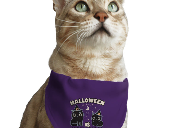 Halloween Is Meowgical