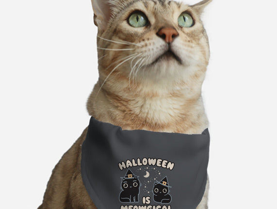 Halloween Is Meowgical