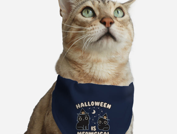 Halloween Is Meowgical