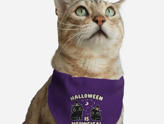 Halloween Is Meowgical