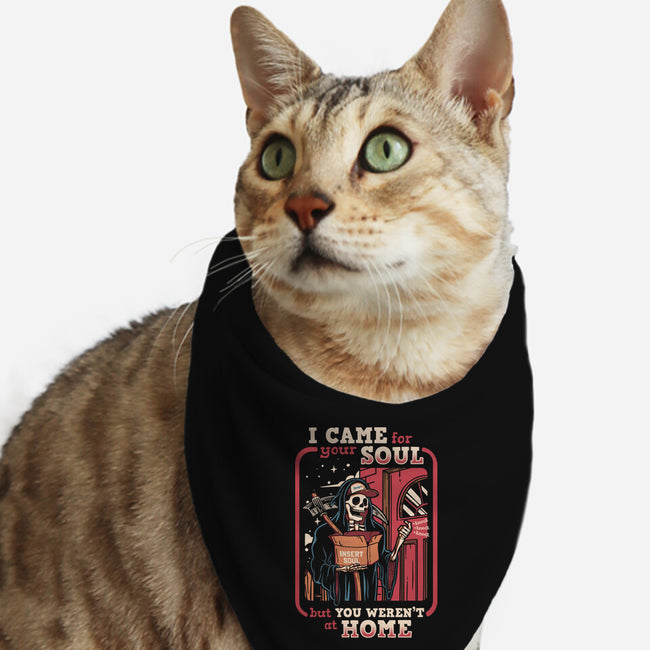 Grim Reaper At Home-Cat-Bandana-Pet Collar-Olipop