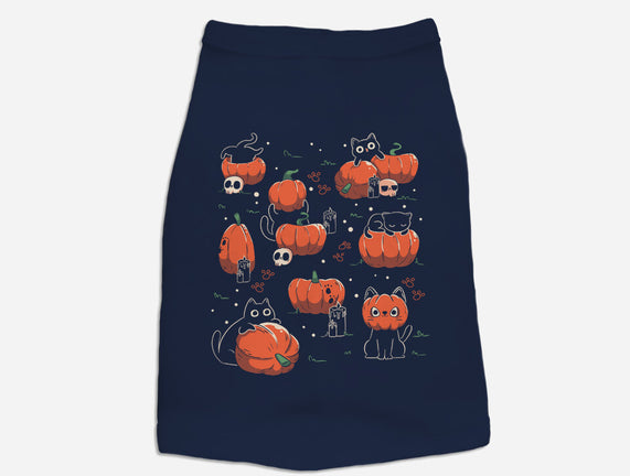 Pumpkin Halloween Cats