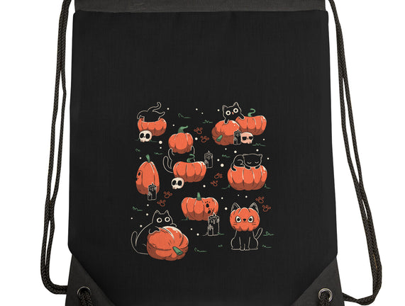 Pumpkin Halloween Cats