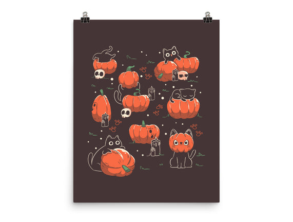 Pumpkin Halloween Cats