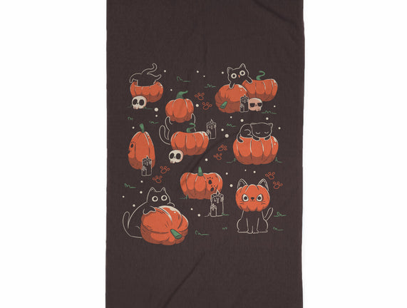 Pumpkin Halloween Cats