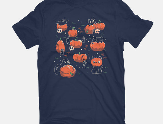 Pumpkin Halloween Cats