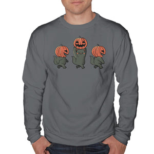 Halloween Pumpkin Kittens