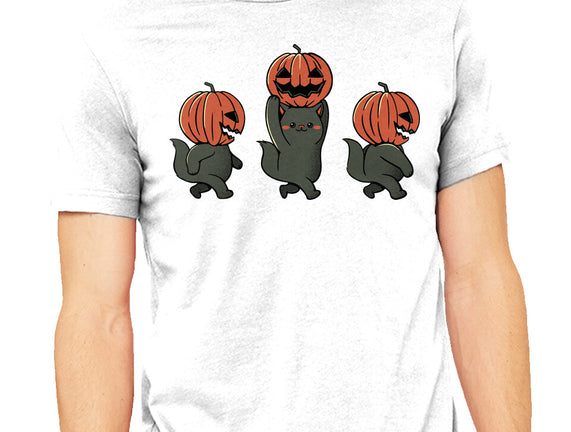 Halloween Pumpkin Kittens