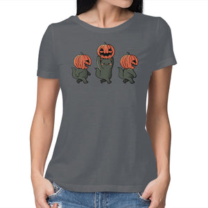 Halloween Pumpkin Kittens