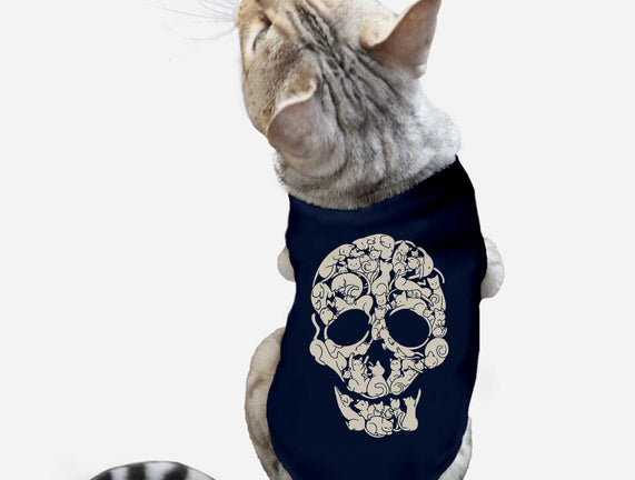 Cat Skeleton Skull