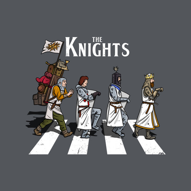 The Knights-None-Removable Cover w Insert-Throw Pillow-drbutler