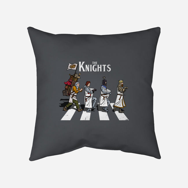 The Knights-None-Non-Removable Cover w Insert-Throw Pillow-drbutler