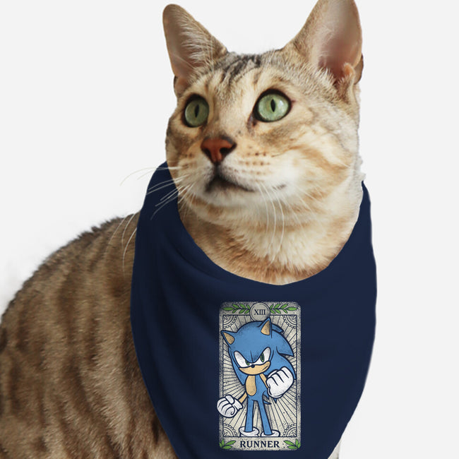 The Runner-Cat-Bandana-Pet Collar-turborat14