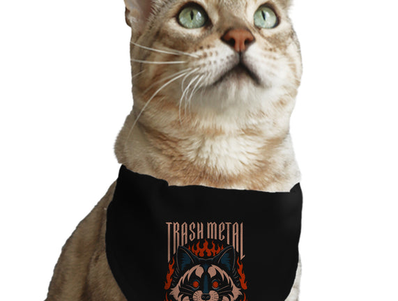 Trash Metal Raccoon