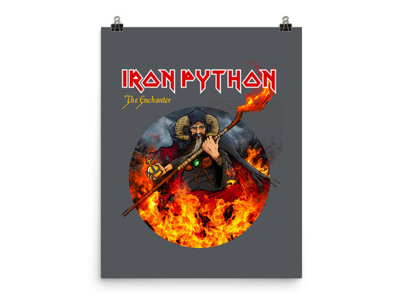 Iron Python