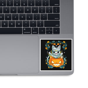 Mummy Pumpkin Cat