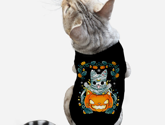 Mummy Pumpkin Cat