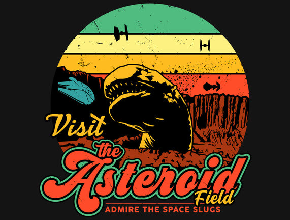 The Asteroid Field