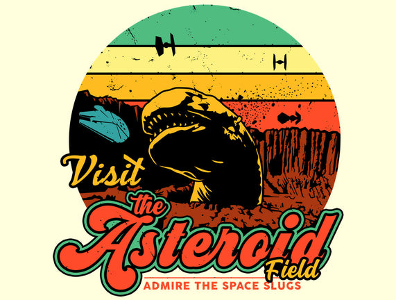 The Asteroid Field