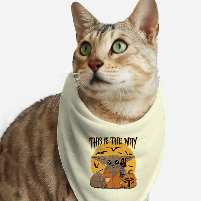 Treat Is The Way-Cat-Bandana-Pet Collar-retrodivision