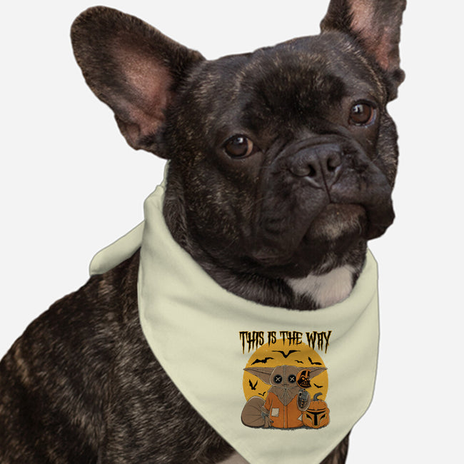 Treat Is The Way-Dog-Bandana-Pet Collar-retrodivision