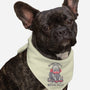 Silly Turtle-Dog-Bandana-Pet Collar-Aarons Art Room