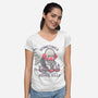 Silly Turtle-Womens-V-Neck-Tee-Aarons Art Room