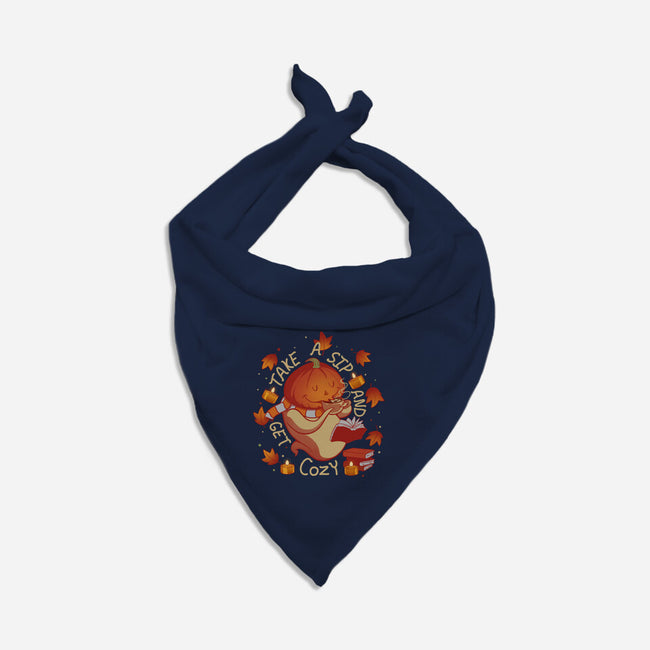 Autumn Comfort-Cat-Bandana-Pet Collar-artyx