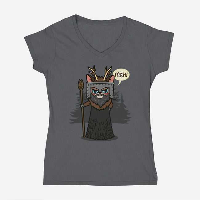 The Knight Who Says Meh-Womens-V-Neck-Tee-Boggs Nicolas