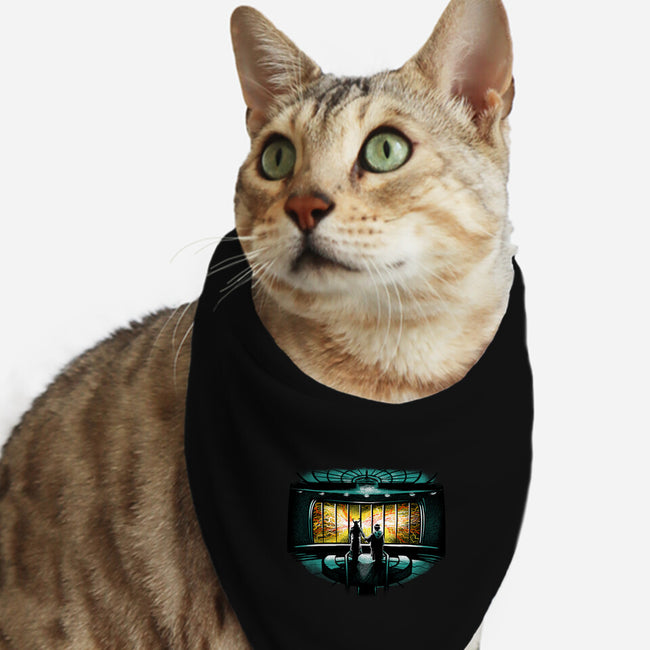 Temporal Mayhem-Cat-Bandana-Pet Collar-zascanauta