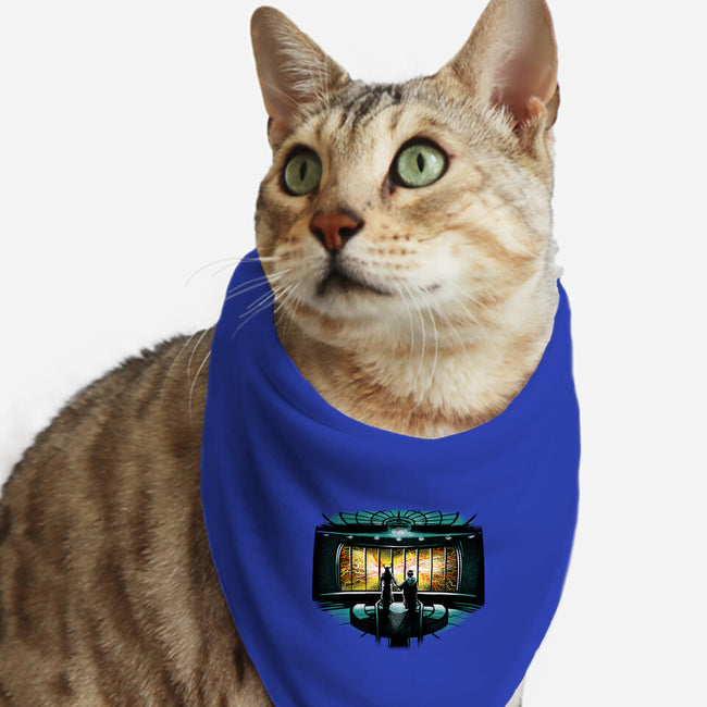 Temporal Mayhem-Cat-Bandana-Pet Collar-zascanauta