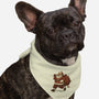 Naughty Boys-Dog-Bandana-Pet Collar-tobefonseca