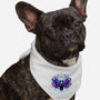 Shadow Knight Cult-Dog-Bandana-Pet Collar-spoilerinc