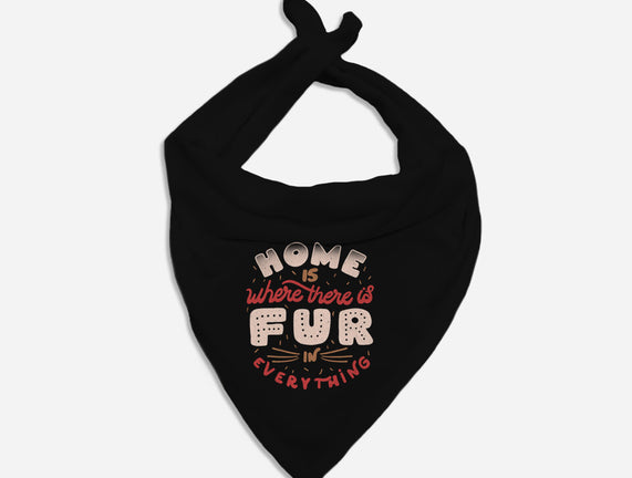 Fur In Everything