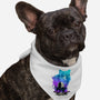 Best Companion Torgal-Dog-Bandana-Pet Collar-hypertwenty