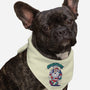 Adventure Begins-Dog-Bandana-Pet Collar-spoilerinc