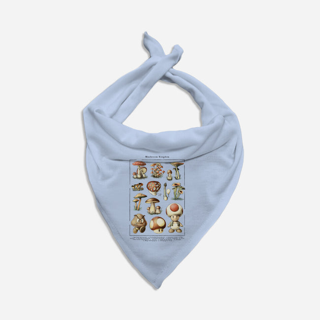 The Mushroom Kingdom-Cat-Bandana-Pet Collar-BlancaVidal