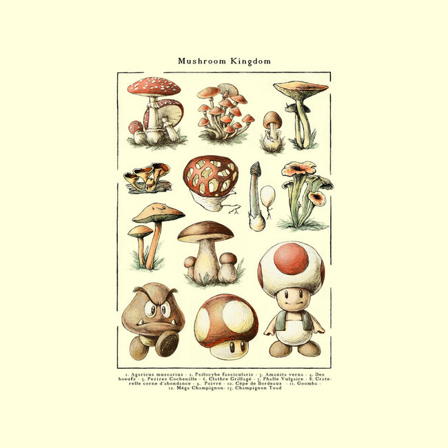 The Mushroom Kingdom-iPhone-Snap-Phone Case-BlancaVidal