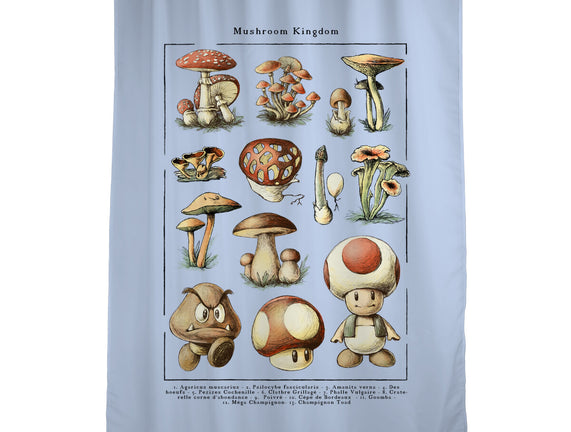 The Mushroom Kingdom