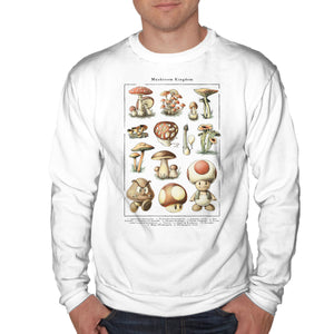 The Mushroom Kingdom