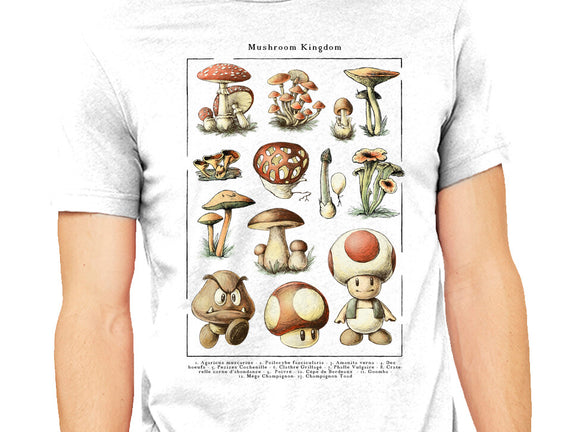 The Mushroom Kingdom