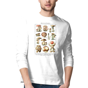 The Mushroom Kingdom