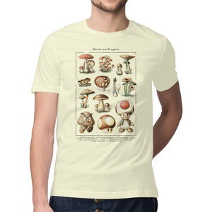 The Mushroom Kingdom