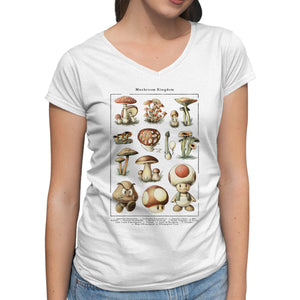 The Mushroom Kingdom
