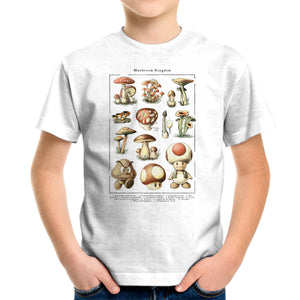 The Mushroom Kingdom