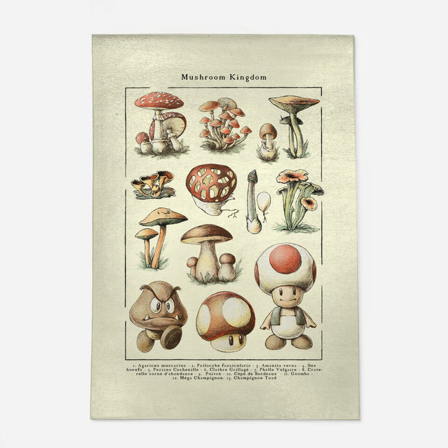 The Mushroom Kingdom-None-Outdoor-Rug-BlancaVidal